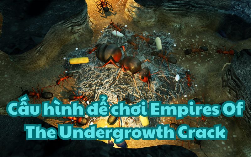 Cấu hình để chơi Empires Of The Undergrowth Crack cực kỳ nhẹ nhàng