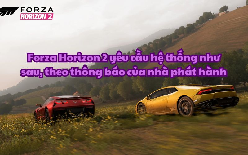 Forza Horizon 2 cấu hình