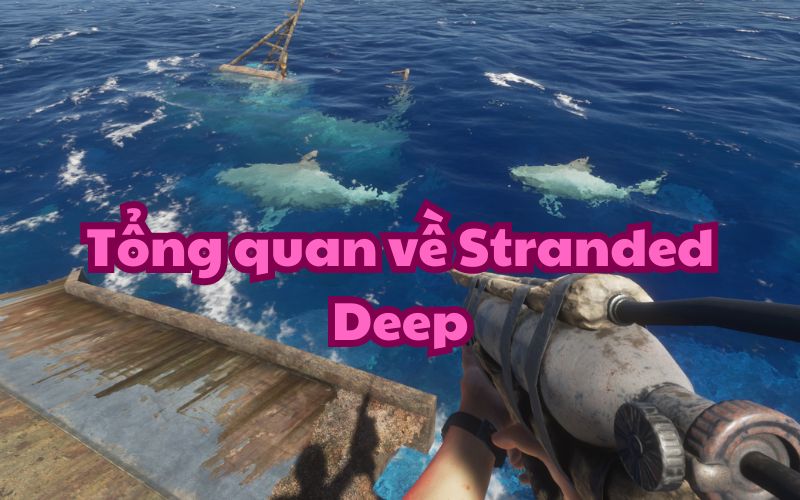 Tổng quan về Stranded Deep - tựa game sinh tồn hấp dẫn