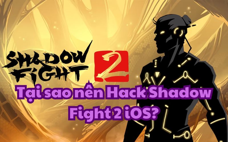 Shadow Fight 2 là một tựa game hành động đối kháng hấp dẫn trên nền tảng iOS